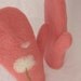 Felted wool mittens in watermelon red with dandelion design, 100 percent handmade, made to order