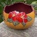 Painted Gourd Art Spring Flowers Bowl Gardening Planter