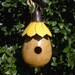 Gourd Sunflower Bird House Painted Gourd Mothers Day Gift