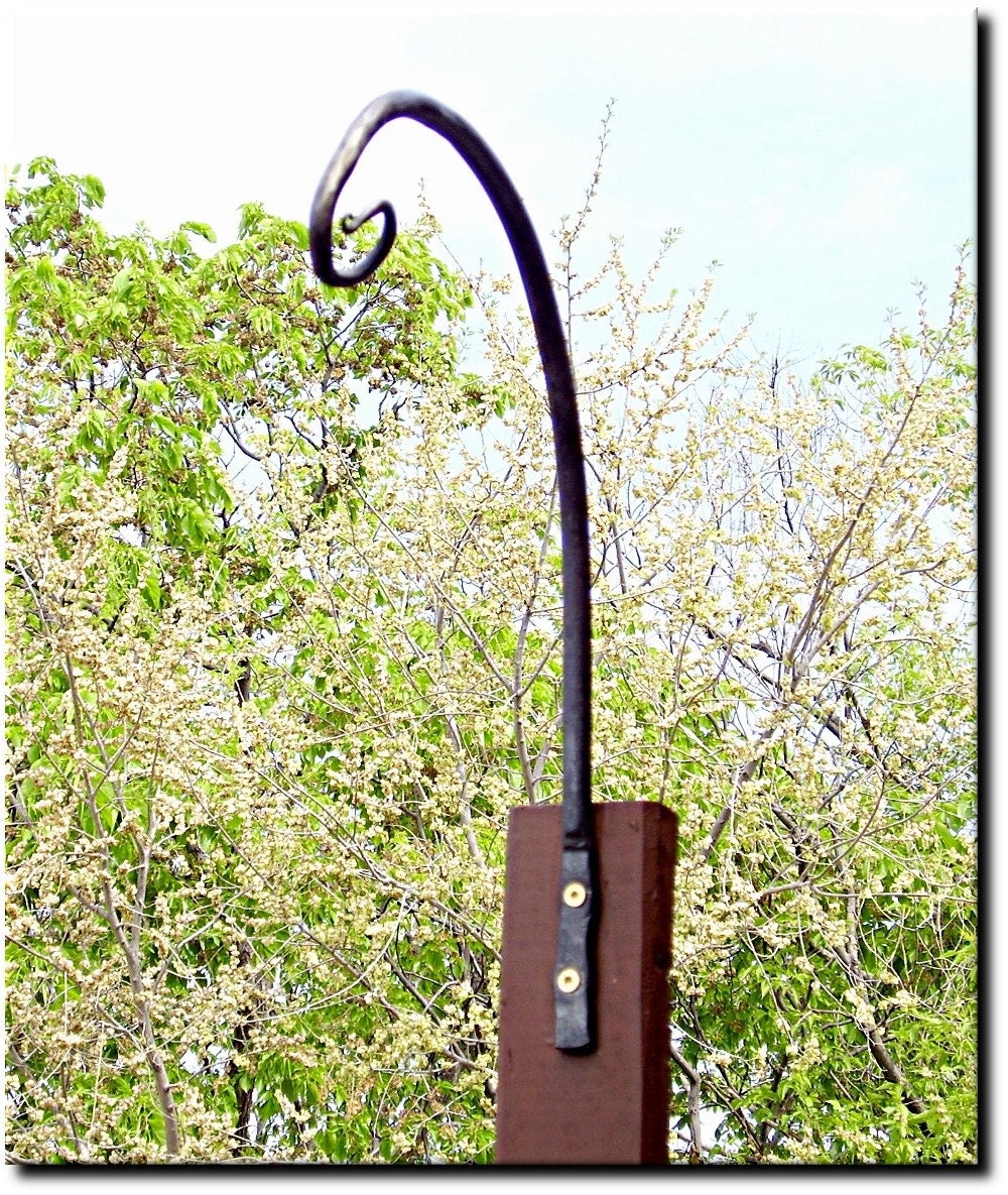 Hand Forged Garden Bird Feeder Hanging Planter Hook