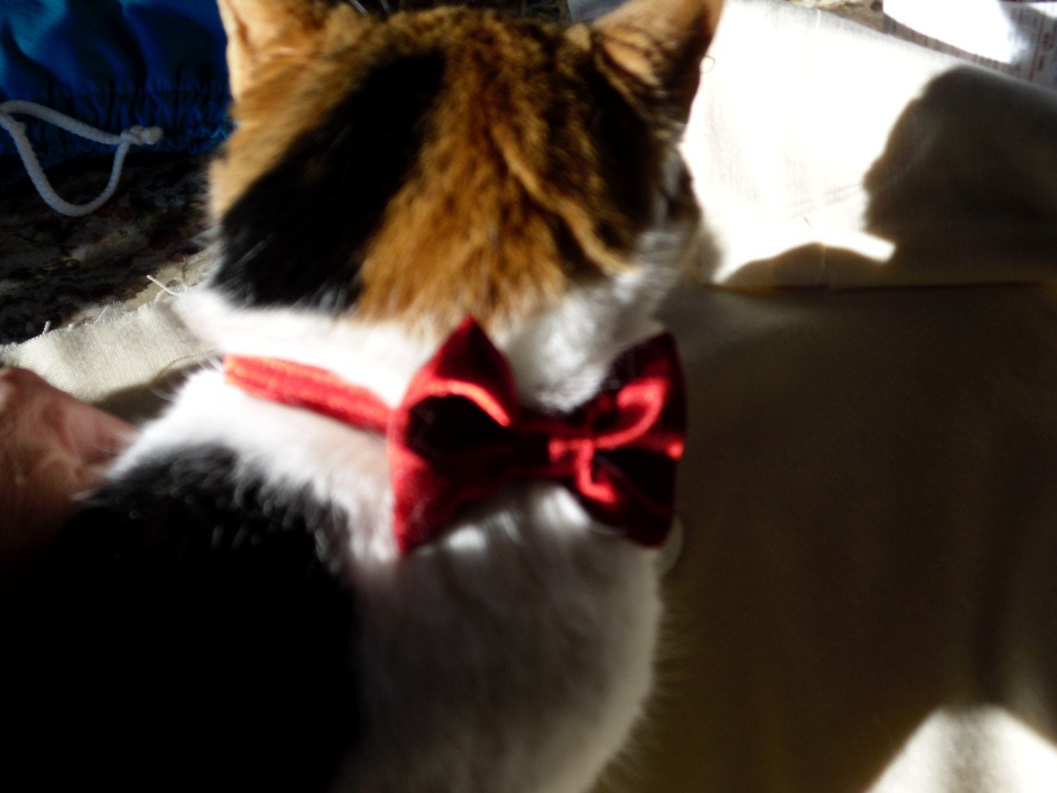 Lipstick Red Cat Break Away  Bow Tie Collar