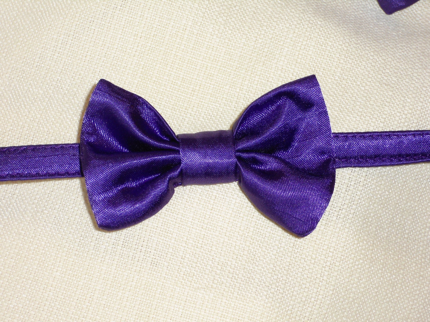 Purple Bow Tie Collar for Cats