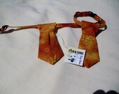 Cat Necktie On Breakaway Collar