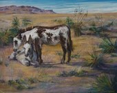 Burro Baby and Mom enhanced signed print 8x10 Severns matted ships free from West Texas
