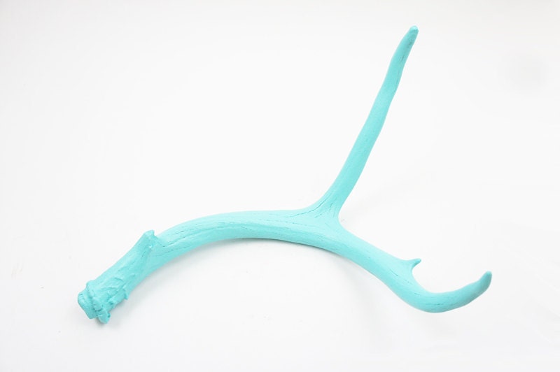 turquoise deer antler