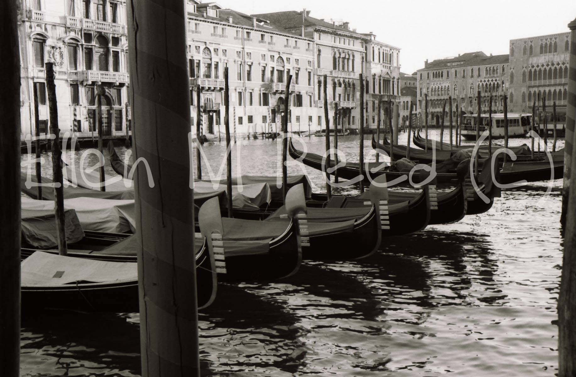 Photograph of Gondolas on Venetian Grande Canal