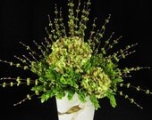 Green Hydrangea Bird Motif Floral Arrangement Wall Pocket Door Wreath