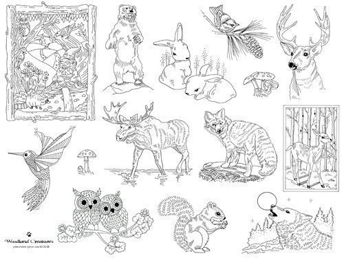 Woodland Creatures Iron on Hand Embroidery Pattern (original design)