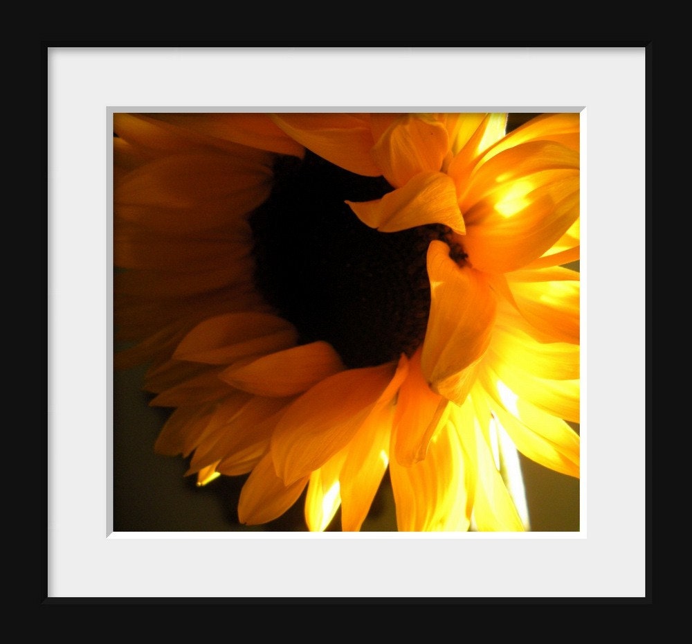 Sunflower Sunny Flower Floral Golden Yellow Bright Warm Colorful Cabin Lodge Rustic