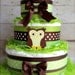 Green & Brown Owl Cake