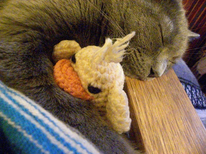 Catopia9, High quality handmade SUPER FRESH ORGANIC catnip cat toy duck