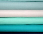 Kona Bundle Inspired by Echo - Cool -  Half Yard Bundle