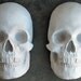 Plaster Full Face Skulls - Unfinished - Unpainted - You Make It - Made to Order - Front Page Etsy