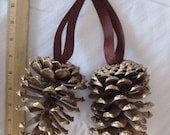 Gold Gilded Pinecone Ornament Decor   Set of 12 pinecones