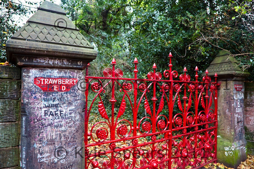 Strawberry Fields - 8x10 fine art photograph