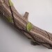 Tree pillow bark textured