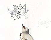 30% Off SALE - Bird Print - Illustration - Northern Flicker - 11x14 Giclee Print - Limited Edition - Print 44/100