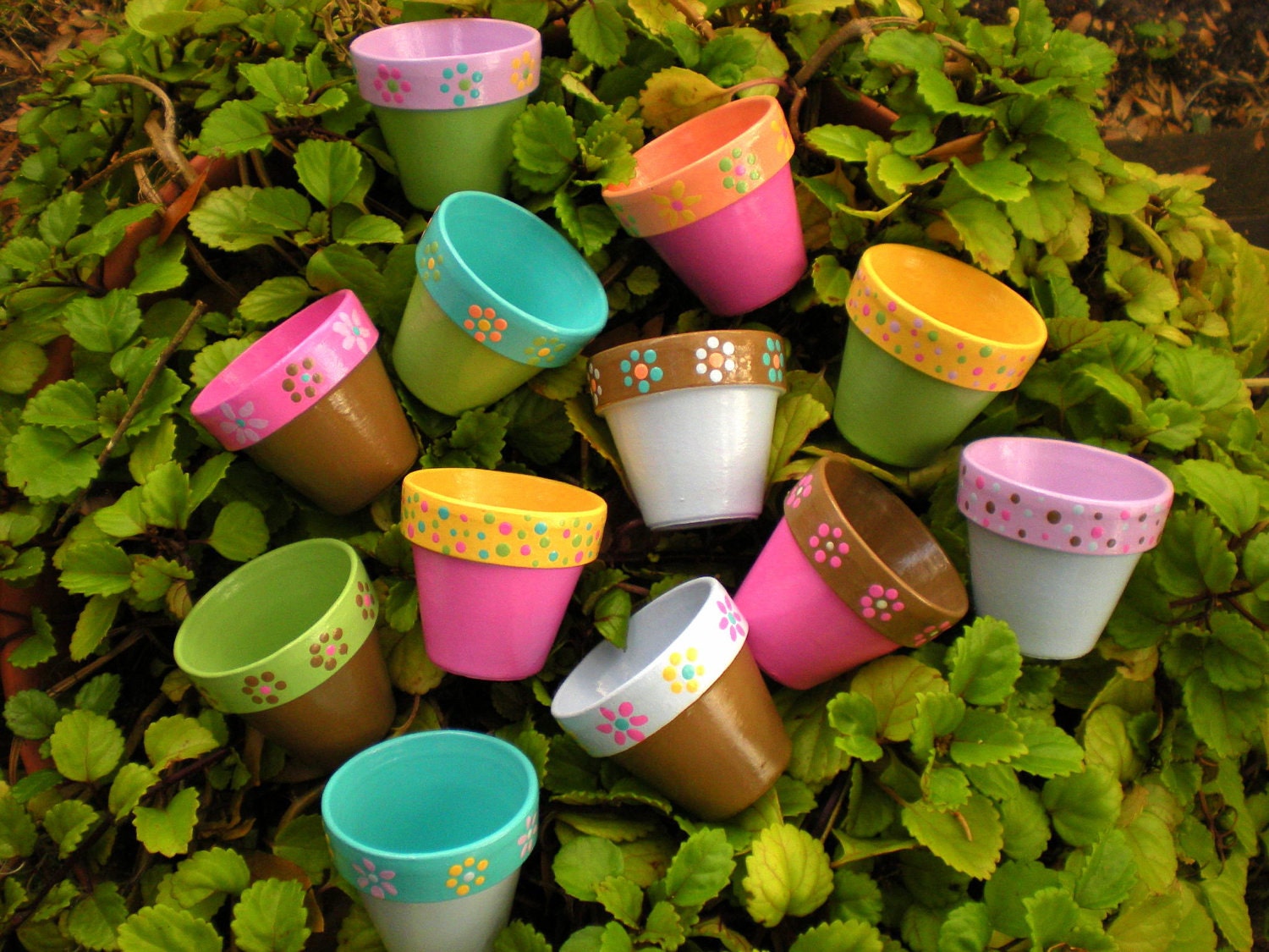 Baby Shower Favors - Hand Painted Flower Pots - Theme and Color Matching