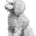 Poodle Ink Portrait Notecards Set of Two