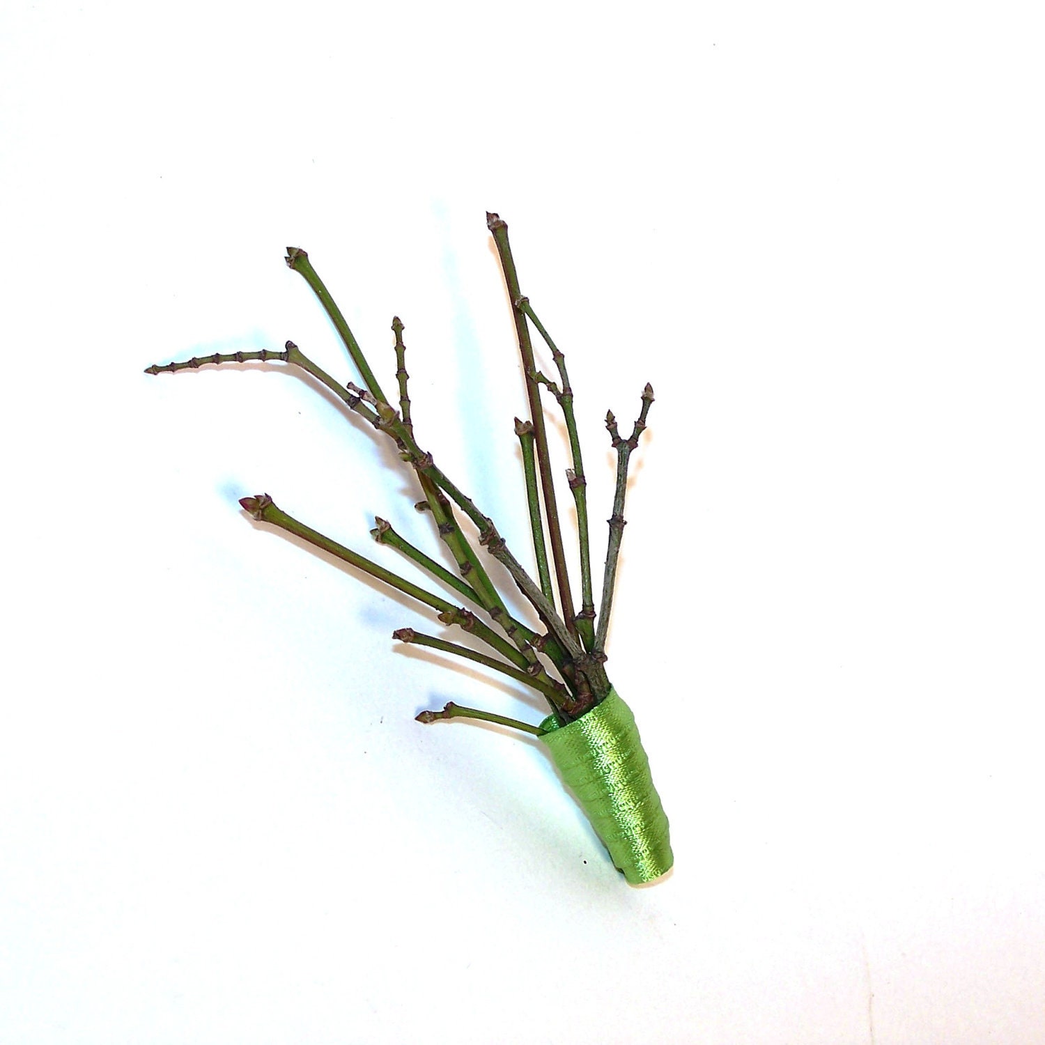 Green Twigs Boutonniere