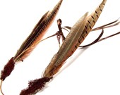 Pheasant Feathers Crown
