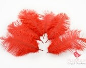 6 pcs - Ostrich Plumes, 4 to 7 inches tall, Red, Costume, Bridal, more sizes and color available
