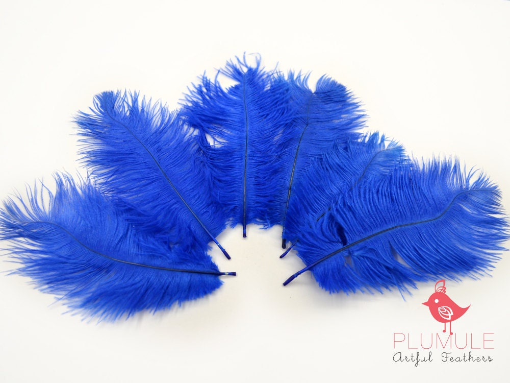 6 pcs - Ostrich Plumes, 4 to 7 inches tall, Royal Blue, Costume, Bridal, more sizes and color available