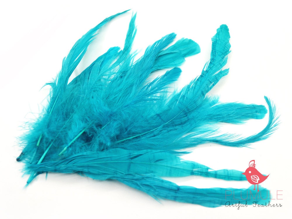 10 pcs - Coque Schlappen, Peacock color, bleached and dyed