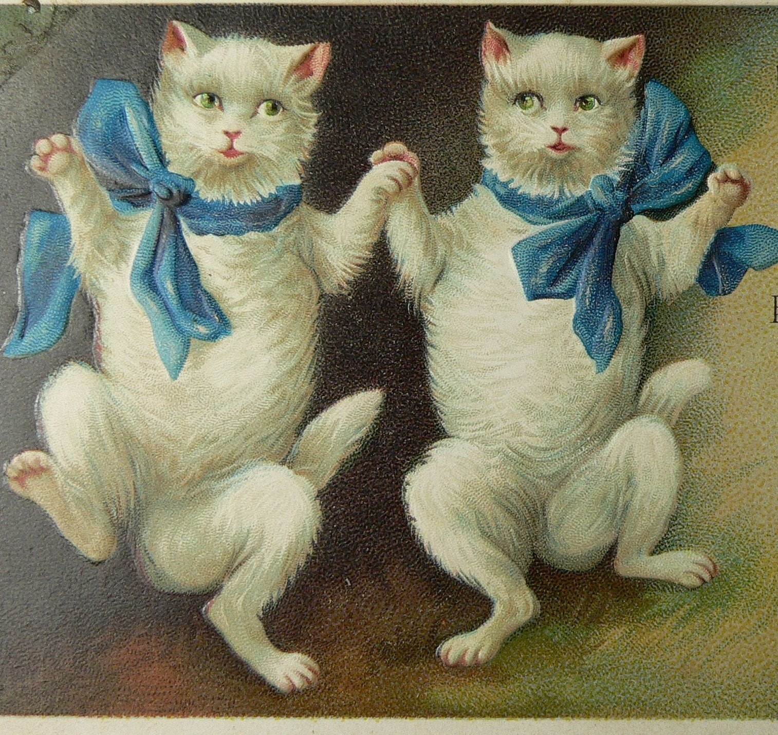 White Dancing Cats Blue Bows c.1909 Vintage Victorian Postcard