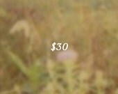 30 Dollar Gift Certificate