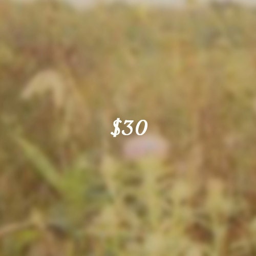 30 Dollar Gift Certificate