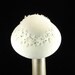 Handmade Cloche Felt Hat in Winter White Fur Felt with Hand Cut Oak Leaves - The Millinery Shop
