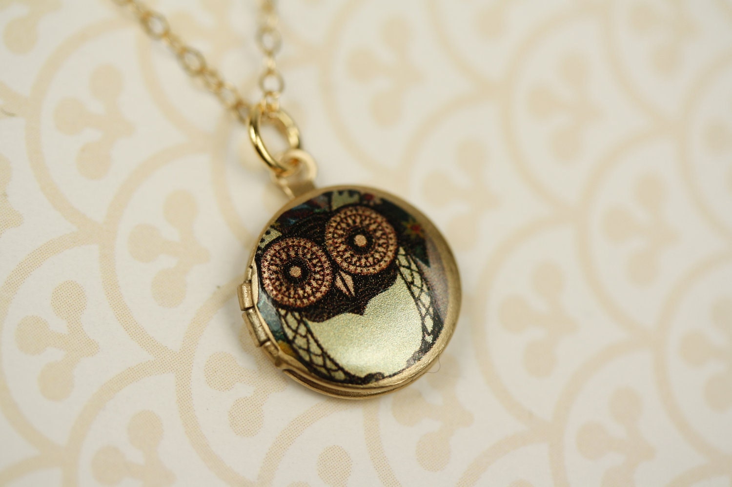 Small Green Whimsical Owl Locket Necklace, Miniature Pendant, 14kt Gold Filled Chain, Girl's Bird Jewelry, Round Photo Jewellery, Fashion
