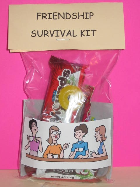 FRIENDSHIP SURVIVAL KIT 4 FRIENDS