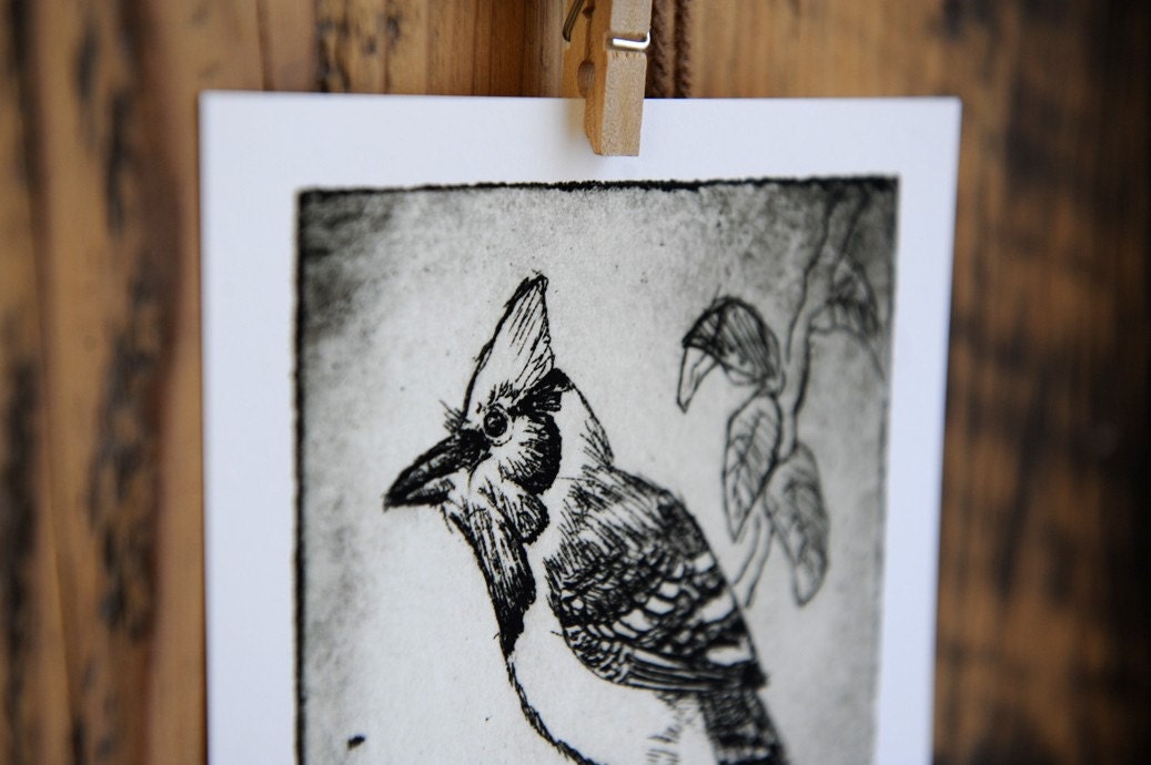 Home Decor - Bird Art - Wall Art - Blue Jay Bird Print - Black and White Decor - Print of my Original Etching - Monochromatic Shabby Chic