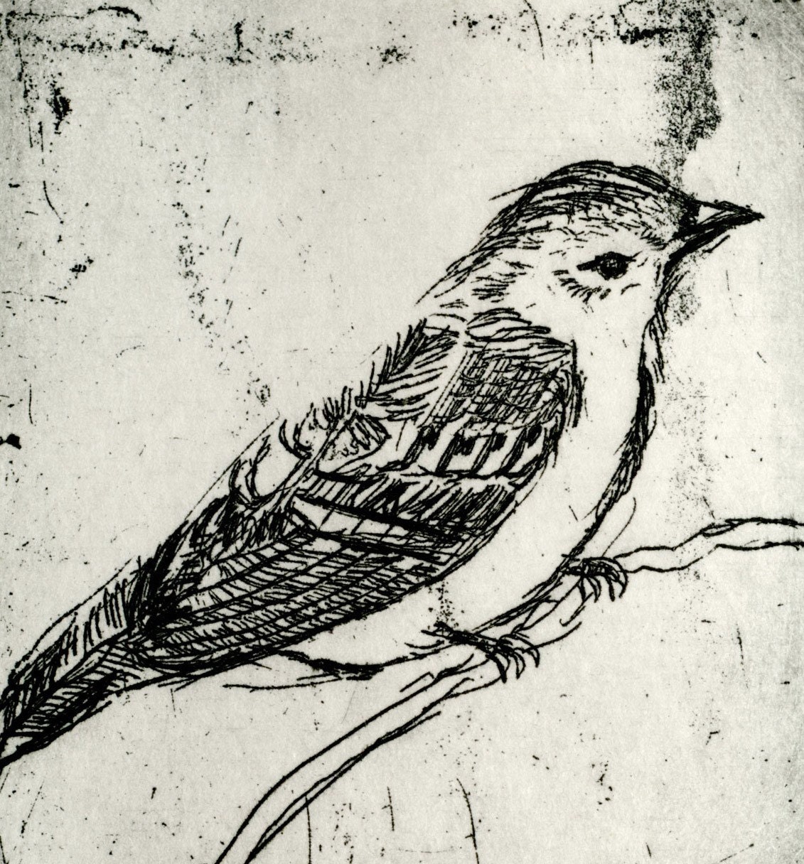 Bird Decor - Little Yellow Bird Art Print