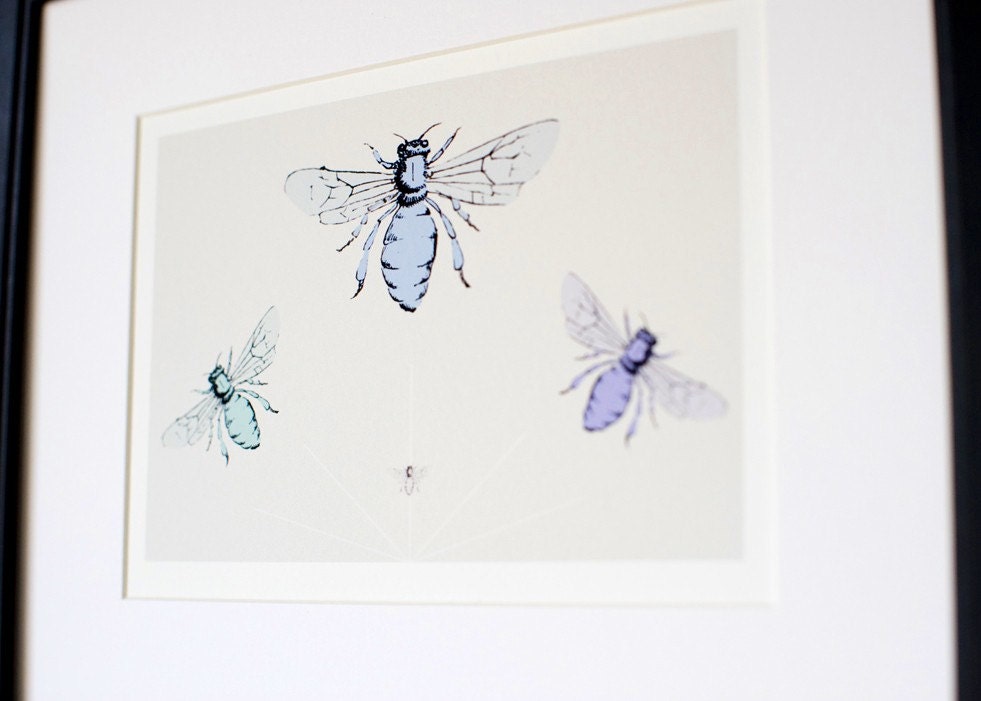 Honey Bee Diagram Illustration - Minimalist Wall Art - Bee Home Decor - Science Gift Idea - Educational Gift Idea