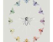 Digital Print - Bee Color Wheel Print - Color Theory Art - Teacher Gift Idea - Educational Art - Honey Bee Art - Childrens Gift Idea