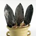WIDE - The Original  Blacksmith Forged  Railroad Spike Hand Trowel
