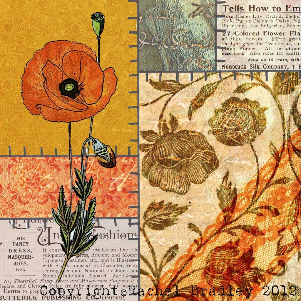 Mixed Media Giclee Flower Print  "The Poppy" Archival 12x12 Print of the Original Digital Art Collage