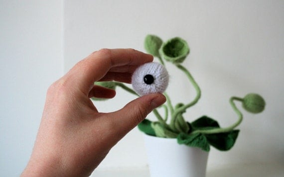 Cyclops Potted Plant