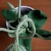 Cyclops Potted Plant