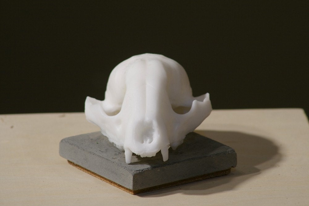 goat milk skull soap