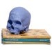 chalkboard skull