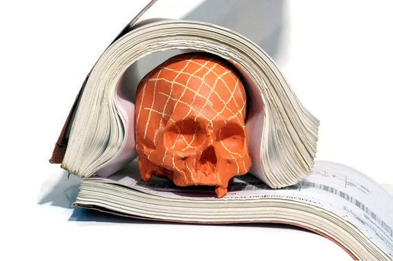 chalkboard skull