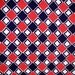 Vintage 60s Mod Check Fabric in Navy and Red