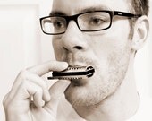 Harmonica Musical Instruments Wind 8GB USB Flash Drive w video lesson - Home & Living