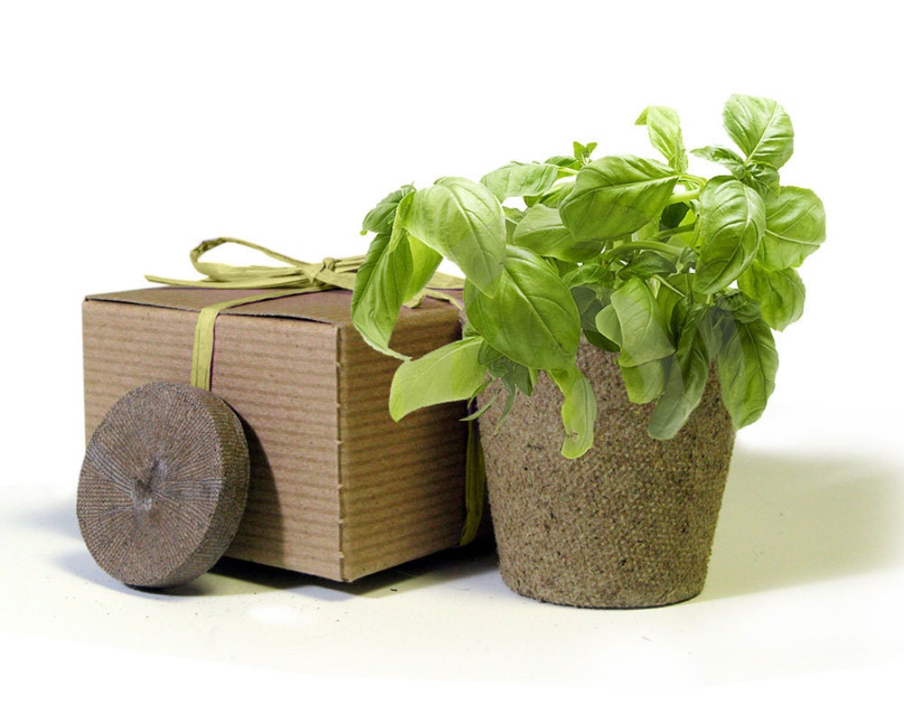 Private Listing - Eco-Friendy Herbs in a Box Junior - for Jen H
