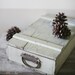 sea green box