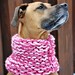 Pink-n-Pink Doggie Neck Warmer - Large
